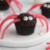 Spider Cupcakes (1x1).mov__PID:923cd0a7-c6ef-4176-85f1-2d030988c4ed
