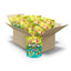 12 Count box of Sour Punch Bites Tropical Blends Candy 9oz bags